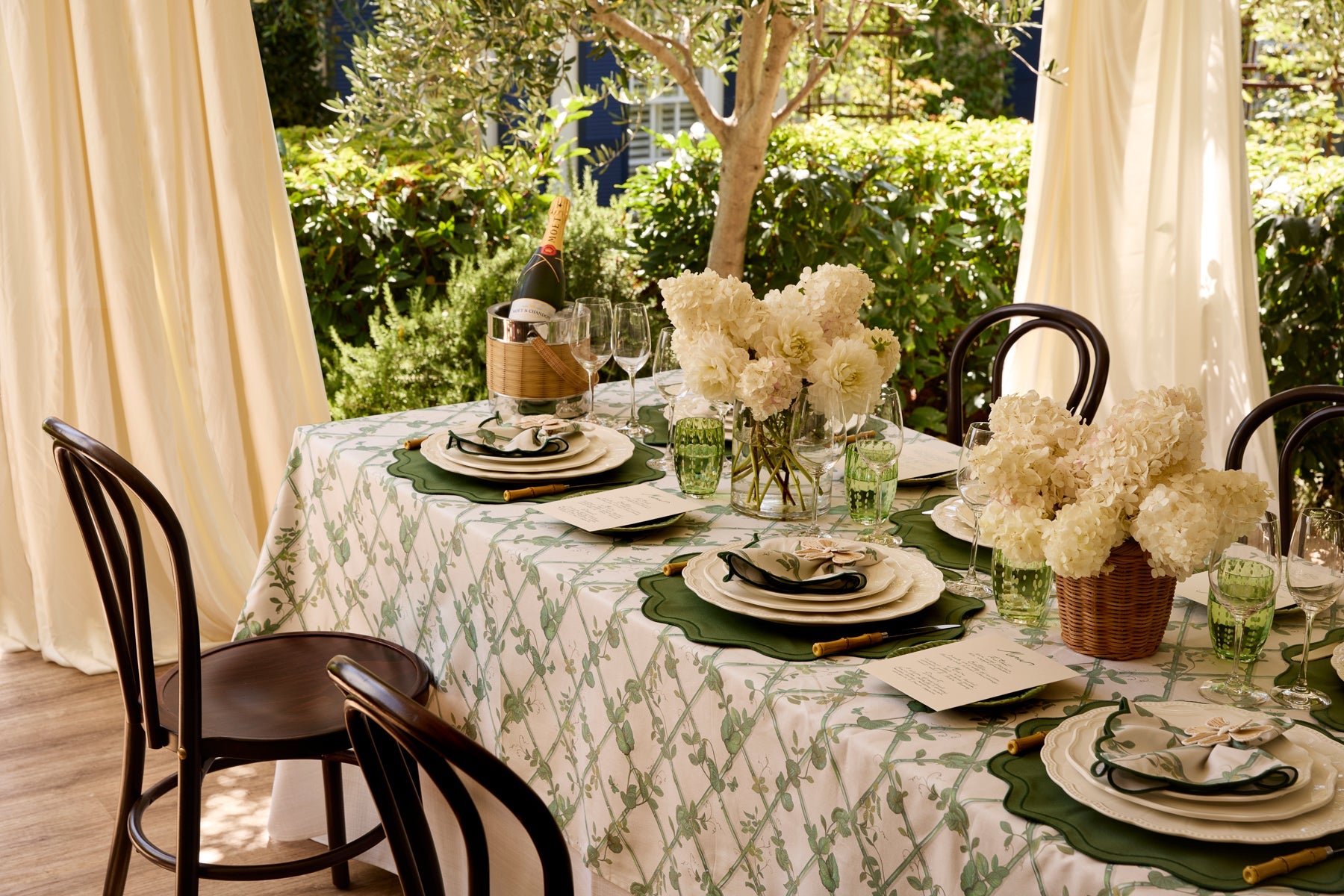 MHI Petite Ivy Collection by Amy Spargo